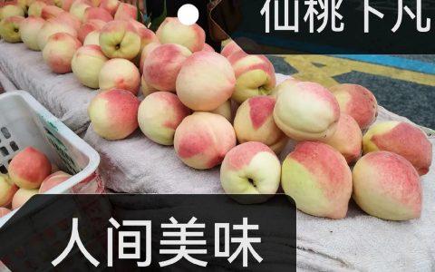 舌尖之旅 寻味仙桃