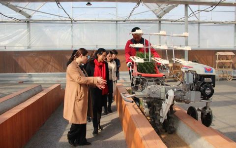 沃野有了“科技范儿”——全省秋冬农业生产现场推进会观摩见闻