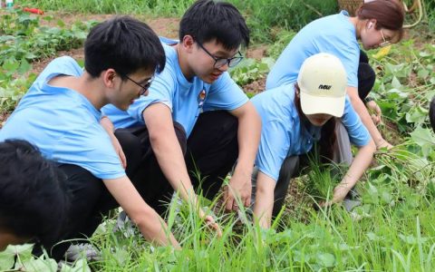 田间实践探新知