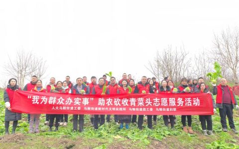 沙湖镇“一条龙”服务油菜秋播