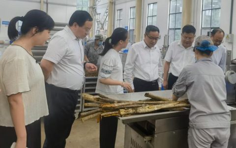 熊享涛调研重点项目现场推进情况