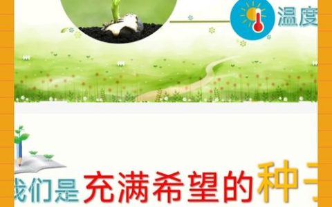 把科技种子播进更多孩子心里