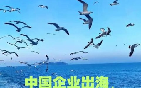 仙桃造从“产品出口”升级为“体系出海”