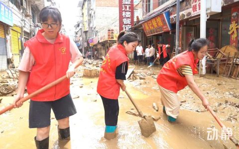闻“汛”而动，向水而行 ——张沟镇党员干部群众坚守东荆河防汛一线纪实