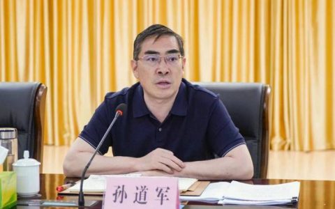 孙道军调研水网电网路网重点项目