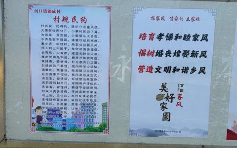 “议”出乡村文明新风尚