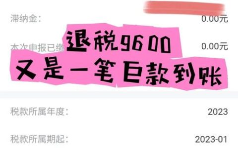 轻松购物 便捷退税 仙桃离境退税开出“首单”