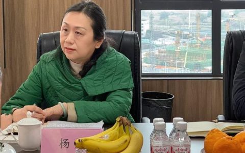 熊享涛会见江苏林洋新能源板块总经理王翠玉