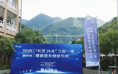 “荆楚归雁”返乡创新创业路演推介会举行