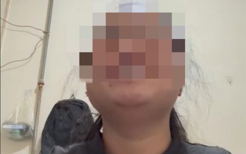 “带导盲犬夜爬泰山”当事人再发声：否认虐犬打犬，爬完泰山后狗狗体检健康，希望它能尽早回到身边