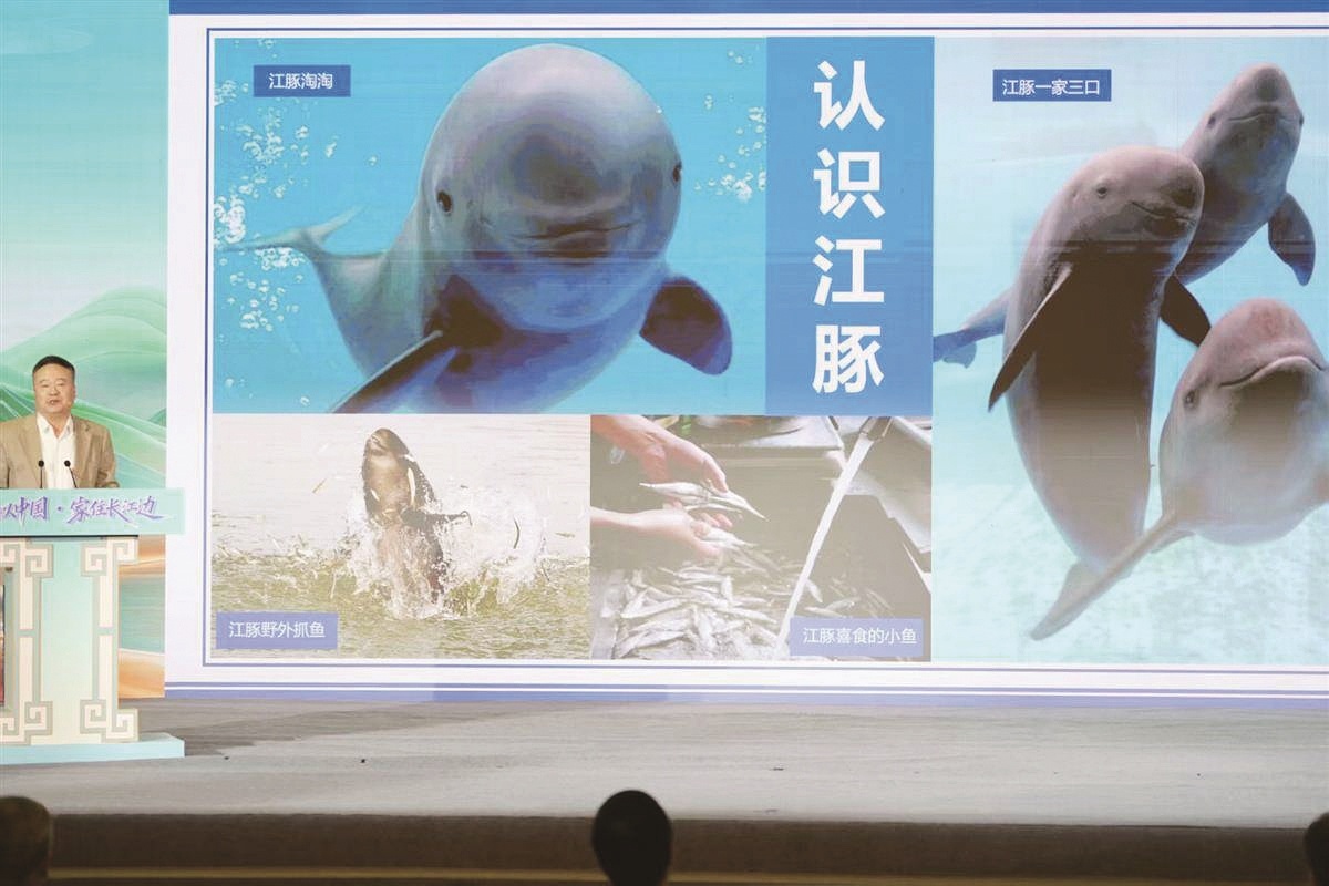 用实践讲述长江之美与湖北之变 ——“何以中国·家住长江边”网络主题宣传活动启动仪式侧记