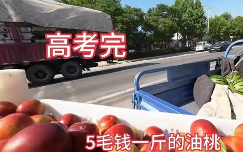 “国庆掰7天半玉米”大学生再发声：从小就帮父母干活，今年暑假帮家里人卖了一个多月水果