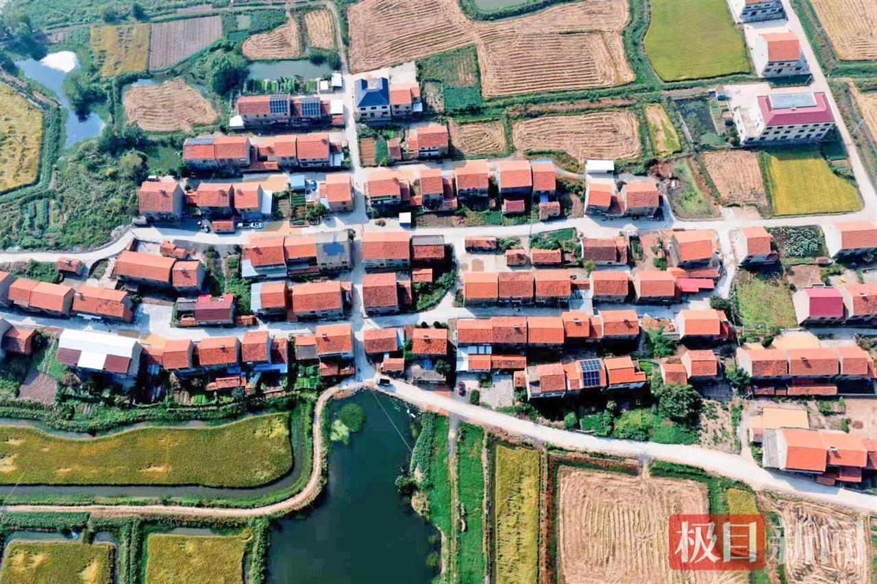 乡贤呼吁，76人捐款37万，10天铺就680米乡村路