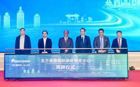 2025中国-北欧经贸合作论坛暨中国（湖北）·突尼斯经贸合作对接会举办