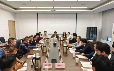 长江新区召开“十五五”规划企业座谈会