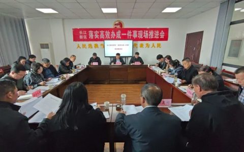 长江新区召开落实“高效办成一件事”现场会