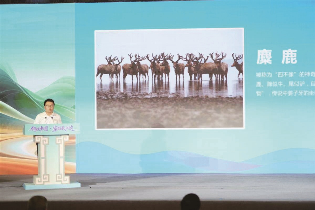 用实践讲述长江之美与湖北之变 ——“何以中国·家住长江边”网络主题宣传活动启动仪式侧记