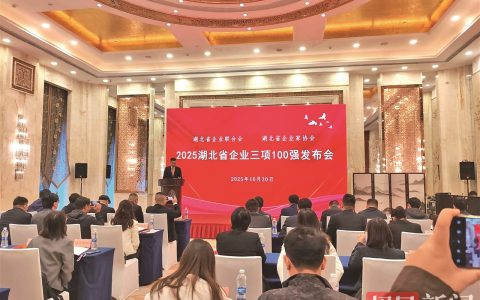 2025湖北企业百强发布 入围门槛提升至86亿元