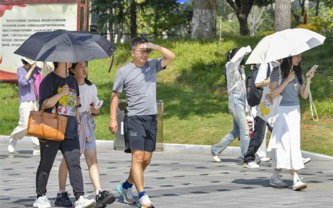 这个寒露有点热！今起五天武汉维持晴好天气
