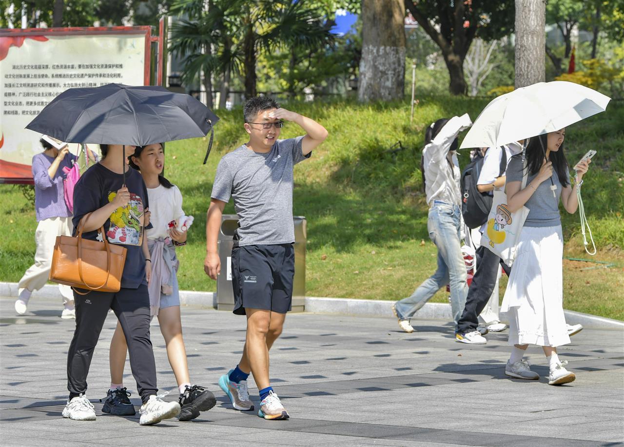 这个寒露有点热！今起五天武汉维持晴好天气