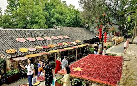 数万斤农作物铺就秋日调色盘 黄陂大余湾成假期乡村游顶流打卡地