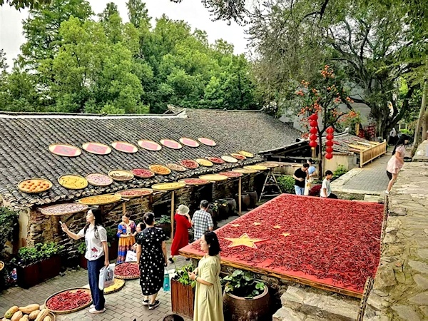 数万斤农作物铺就秋日调色盘 黄陂大余湾成假期乡村游顶流打卡地