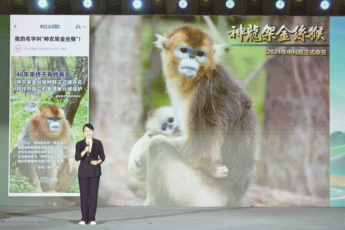 用实践讲述长江之美与湖北之变 ——“何以中国·家住长江边”网络主题宣传活动启动仪式侧记