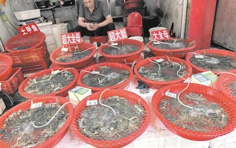 价格降低，个头变大，新一批货源正赶来 武汉吃货们“蟹”逅最佳时令季