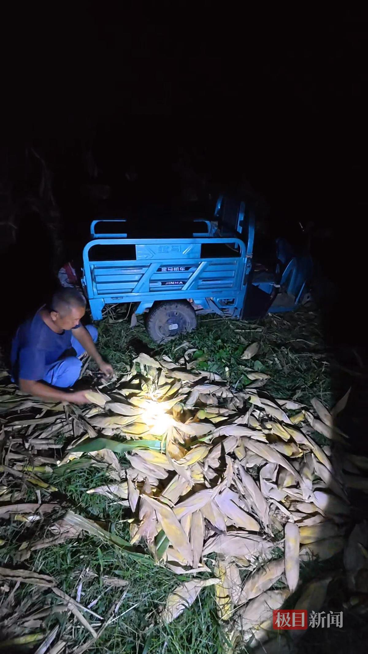 山东一大学生国庆8天假掰了7天半玉米，本人称“自己多弯一次腰父母就少吃一点苦”