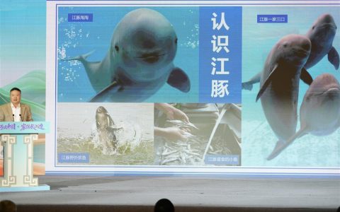 从江豚的微笑到长江的微笑