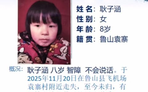 河南鲁山8岁女童随奶奶上坟途中走失3天，当地出动搜救犬，方圆10公里搜寻未果，家属：孩子不会说话，奶奶很自责