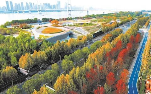 层林尽染 如诗如画