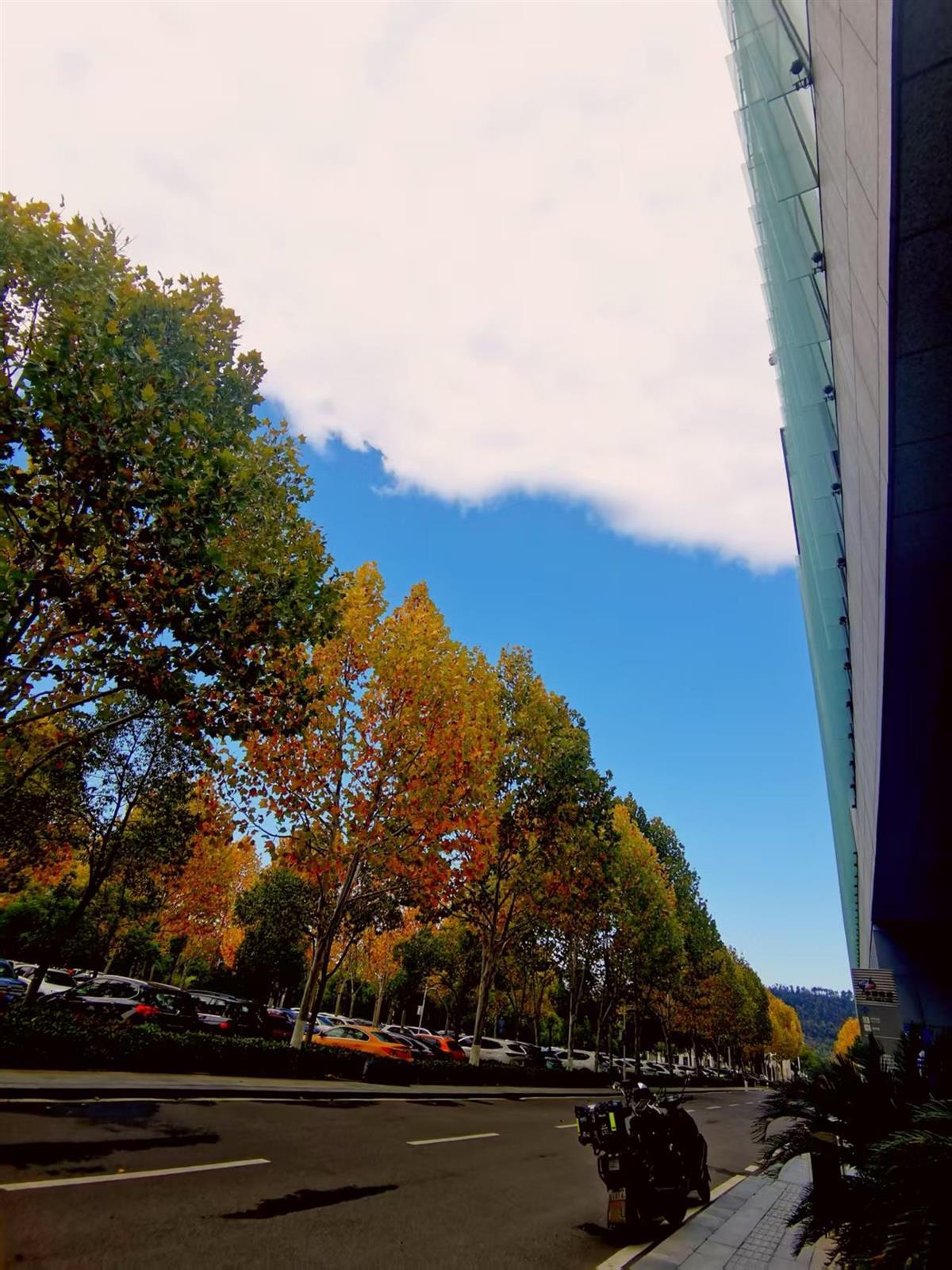 蓝天白云，泾渭分明！武汉上空出现“鸳鸯锅”！气象部门：正是冷锋过境具象化了