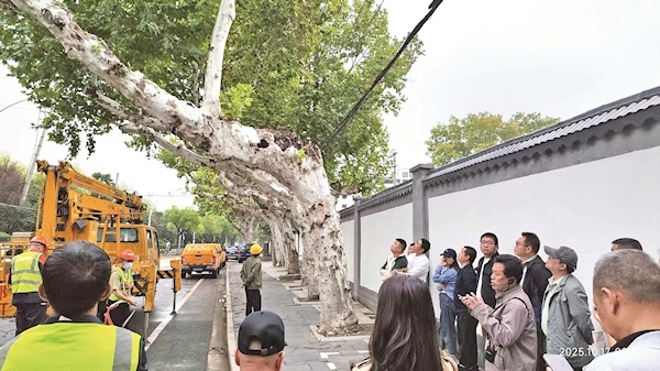 一心护绿将城绕  三镇繁花送福来