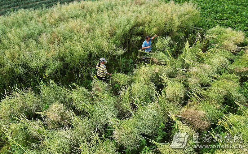 682ab29c0cf24eaf6cf99c10