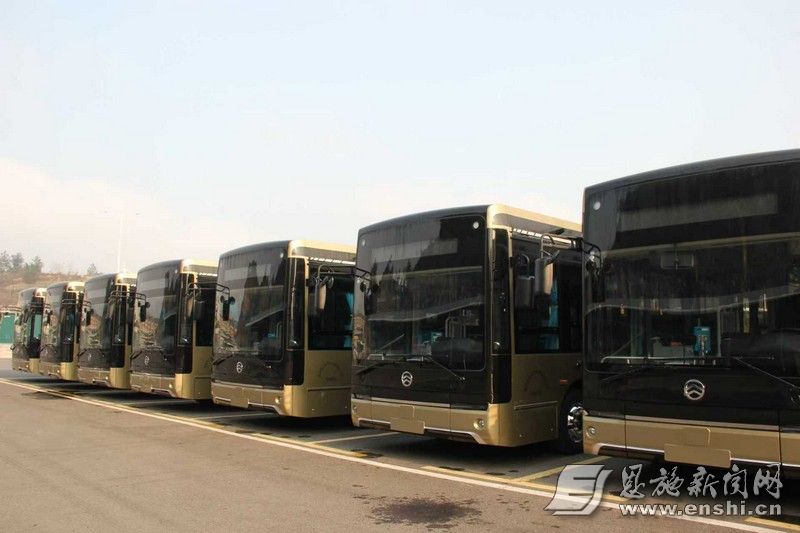 新采购的新能源公交车。