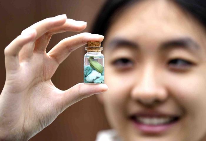 聚焦京堰研学团 | 挖绿松石、逛博物馆！北京学生在十堰变身“探宝猎人”