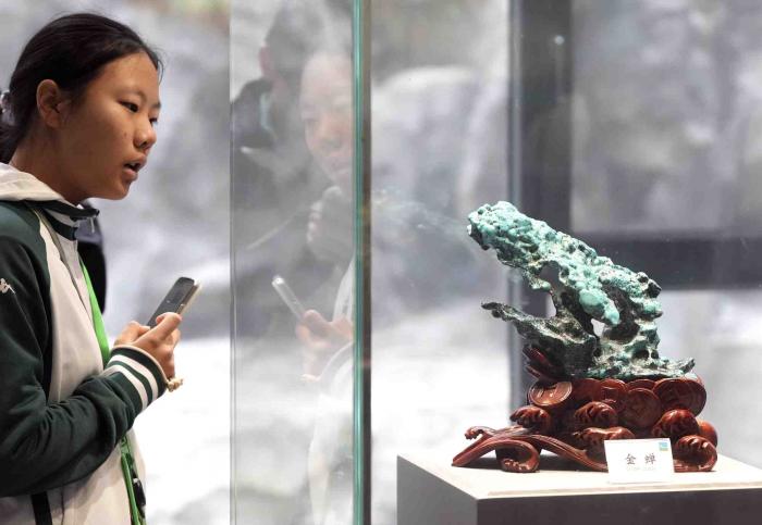 聚焦京堰研学团 | 挖绿松石、逛博物馆！北京学生在十堰变身“探宝猎人”