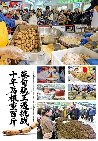 来农博会 看新奇特