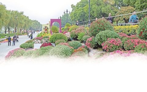 一心护绿将城绕  三镇繁花送福来