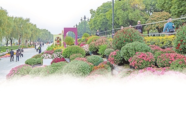 一心护绿将城绕  三镇繁花送福来