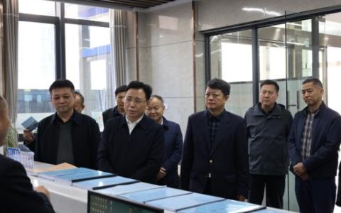 省司法厅来荆调研整治“两违四乱”民生实事工作