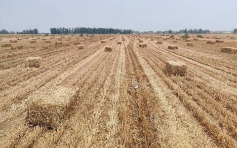 江陵县：打通“最后一公里” 推动秸秆“变废为宝”