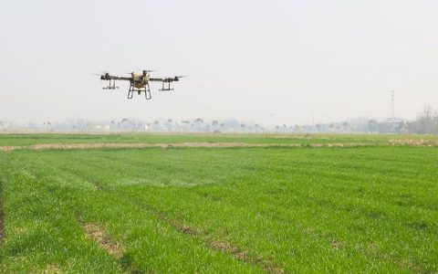 “飞”播小麦保丰收——九合垸原种场无人机秋播见闻