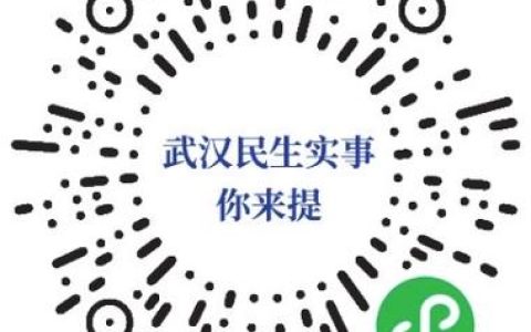 2026年武汉市政府民生实事今起征集