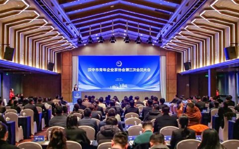 中国青年企业家协会来汉开展经贸考察 近百亿意向投资为武汉发展注入新动能