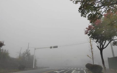黄色预警来了！十堰今晚明早有大雾 驾车“雾”必小心
