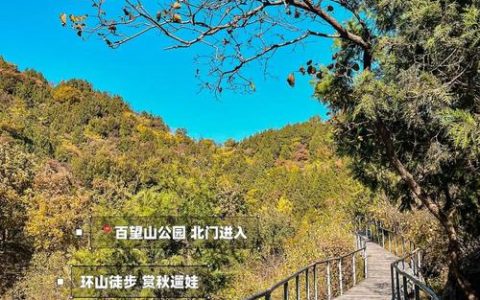 共赴山野绿道，以户外运动的方式打开最美秋天