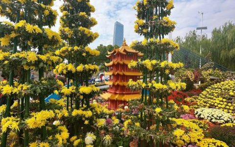 金秋菊展多种花卉组成彩带，汉口江滩百米“花街”出圈
