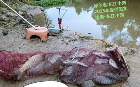 “一条鱼”串起乡村振兴致富链